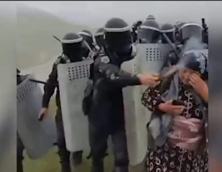Polisin yaşlı qadına qarşı gözyaşardıcı qazdan istifadəsi tənqid olundu - FOTO