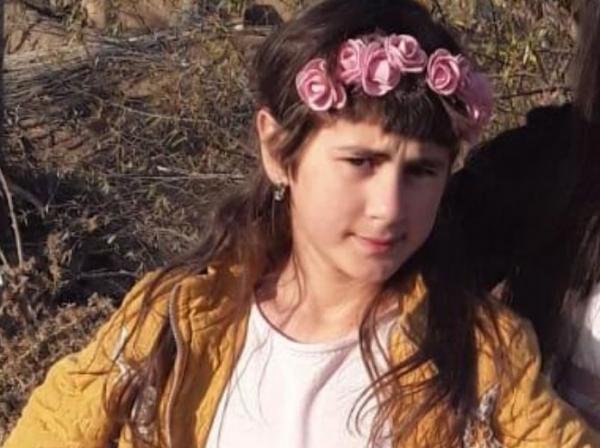 İlkin Süleymanovun məhkəməsində Nərminin gündəliyi oxunub
