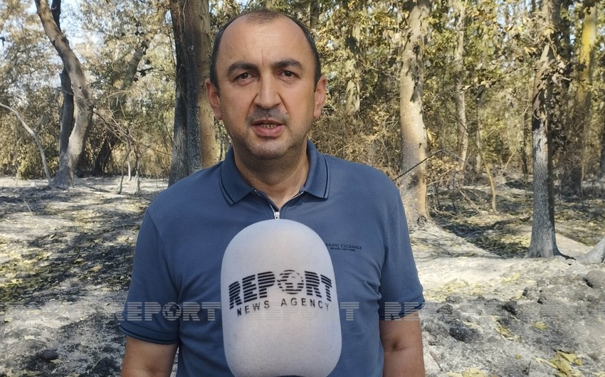 Nazir müavini: "Xaçmazdakı yanğının günahkarları cəzalandırılmalıdır" 