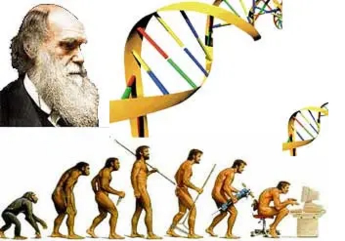 BƏŞƏRİYYƏTİ BÖYÜK FƏLAKƏTLƏRƏ SÜRÜKLƏYƏN İDEOLOGİYA - DARVİNİZM