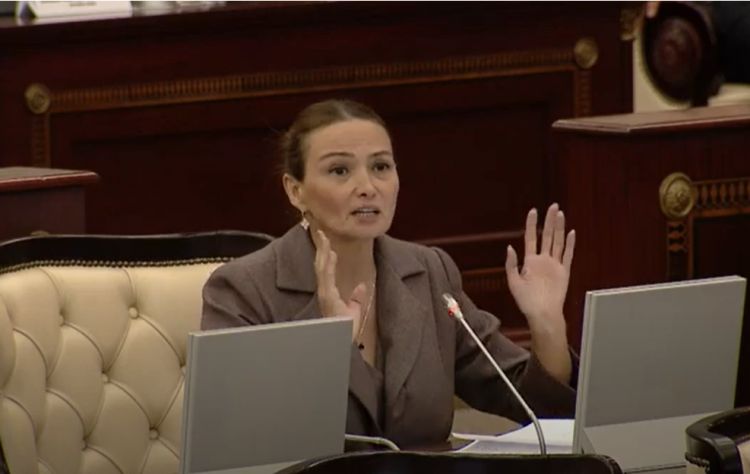 "Küçələr var ki, nə məna ifadə etdiyini anlamaq mümkün deyil" - Qənirə Paşayeva