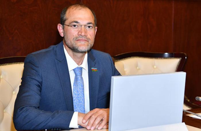 Deputat: “Gələcəkdə şəhid ailələrinə, qazilərə və yaxınlarına daha geniş güzəştlər nəzərdə tutula bilər”