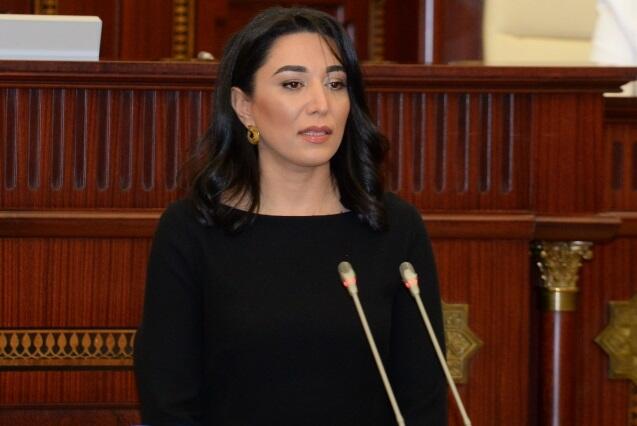 Ombudsmana yeni səlahiyyətlər verilir