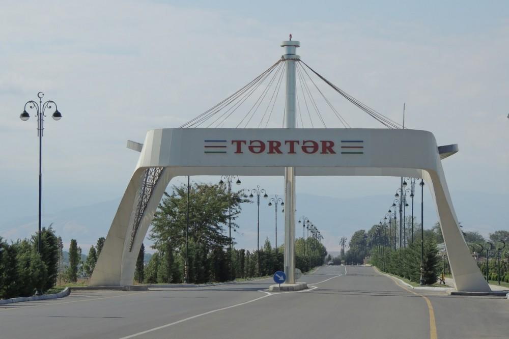 Tərtərdəki qətlin şok təfərrüatı: Səbəb namus deyilmiş!