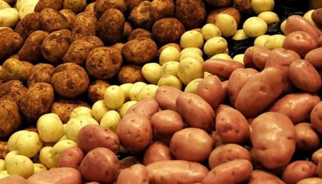 Cəlilabadda fermerlər satdıqları kartofun pulunu ala bilmirlər - VİDEO