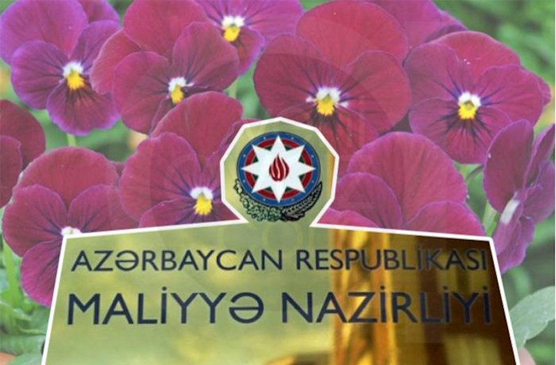 Baba Rzayevin qohumları Maliyyə Nazirliyinə olmayan gül növü satır? – Təfərrüat
