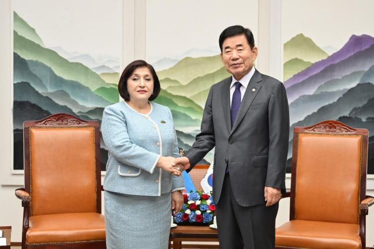 Sahibə Qafarova Koreya Milli Assambleyasının sədri ilə görüşdü - FOTO