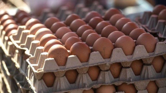Azərbaycandan Rusiyaya toyuq yumurtasının tədarükü 4,2 milyon ədədə çatıb