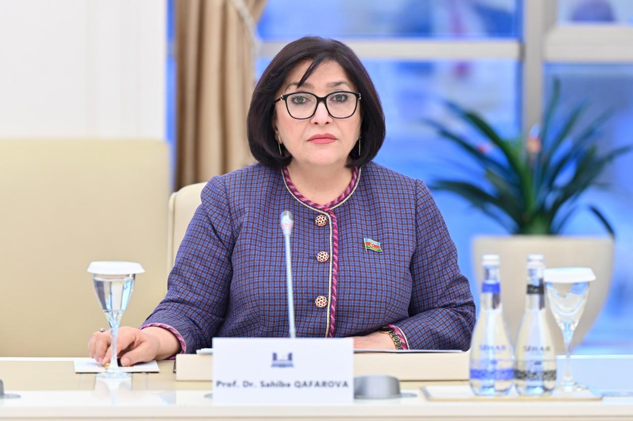 Sahibə Qafarova: Danışıqlar masası arxasında heç kim və heç bir dövlət  Azərbaycana təzyiq göstərə bilməz