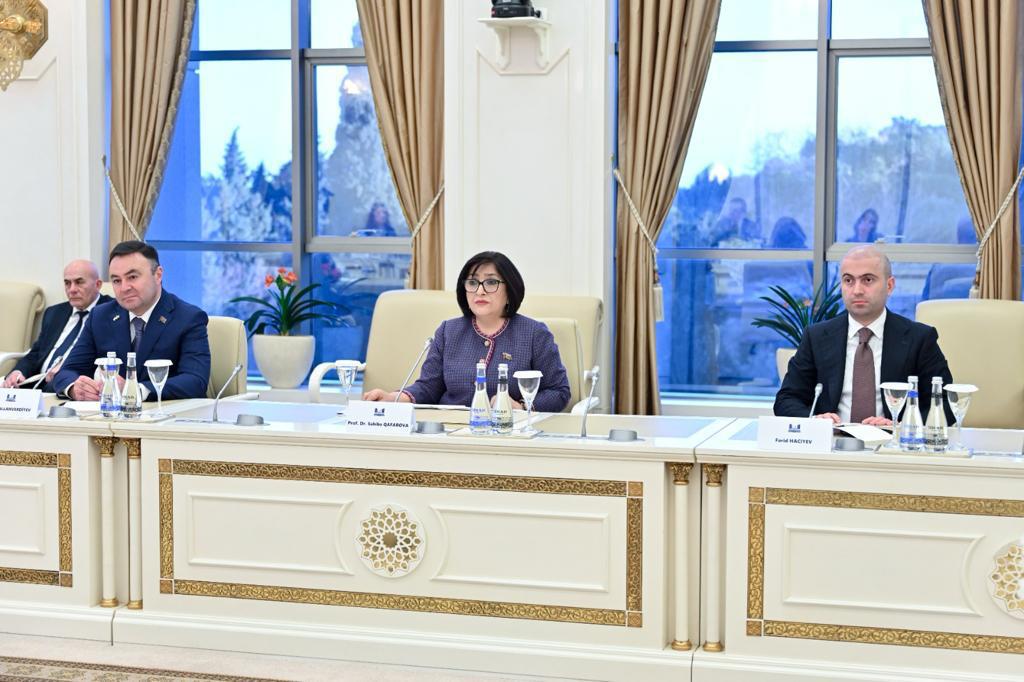 Sahibə Qafarova: Fransa Cənubi Qafqazda sülhün əldə olunmasını istəmir