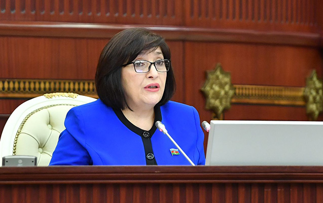 Milli Məclisin sədri Sahibə Qafarovanın parlamentin 2024-cü il 16 fevral tarixli plenar iclasında çıxış edib