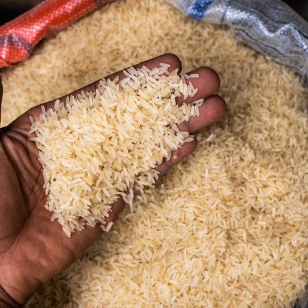Düyü də BAHALAŞACAQ - Hindistan ixracı ixtisar edib
