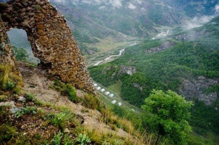 Qarabağda ermənilər heyvanların da nəslini kəsib? - AÇIQLAMA