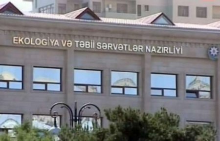 Nazir müavinin atlarının ayaqları altında məhv edilən yaşıllıq - Ekologiyamıza elə baş ekoloqlar qənim kəsilir