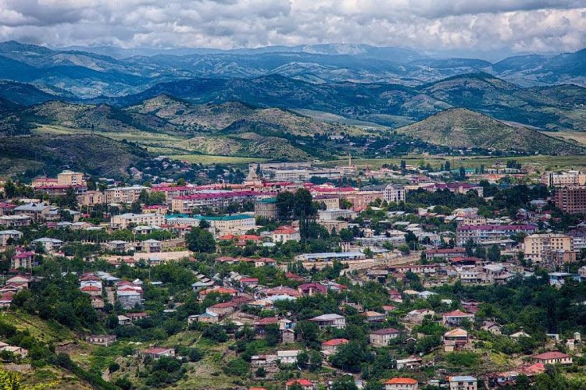 "Xüsusi nümayəndəlik institutunun yaradılması növbəsi Xankəndinindir" - MM-in komitə sədri