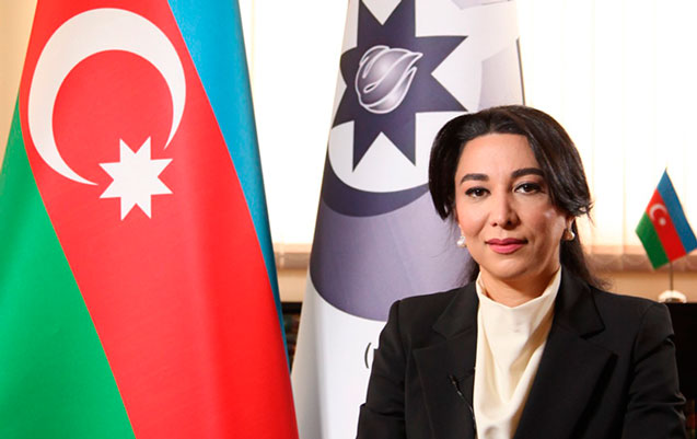 Ombudsman beynəlxalq ictimaiyyətə müraciət etdi