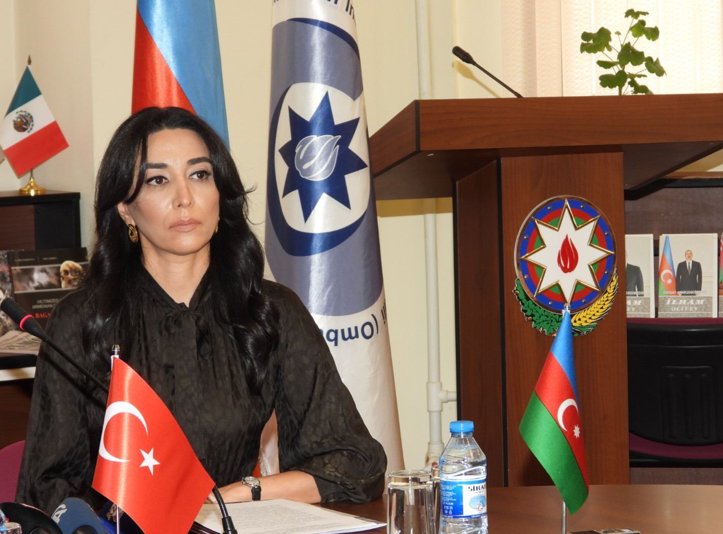 "Pensiya yaşına müəyyən müddət qalanların ixtisarı qadağan olunmalıdır" - Ombudsman
