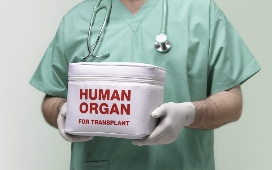Meyit donorun orqanları transplantasiya edildi - Azərbaycanda ilk