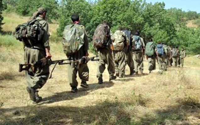 PKK terror təşkilatı atəşkəs elan etdiyini açıqladı
