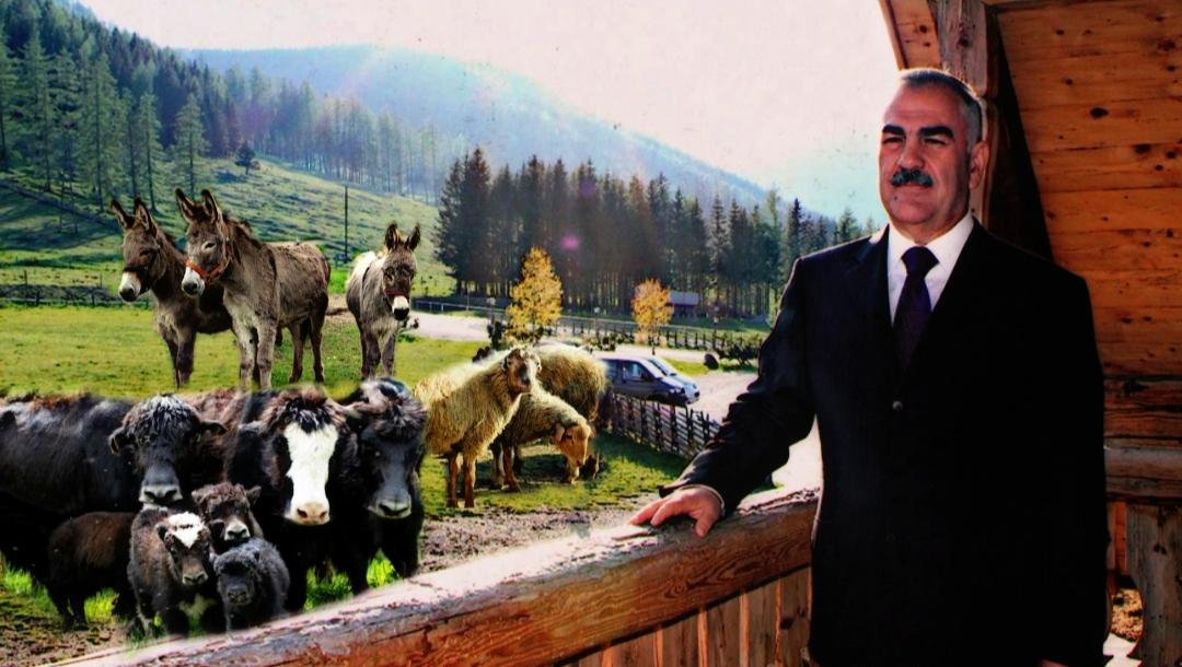 TALIBOVUN “DÖVRÜ” NAXÇIVANDA HEYVANLARIN SAYI DA ŞİŞİRDİLİB - Məqsəd nə olub?