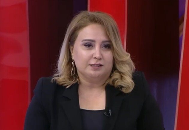 Qərəzli tənqidin zərəri - Söz və fikir azadlığından sui-istifadə etməməlidir