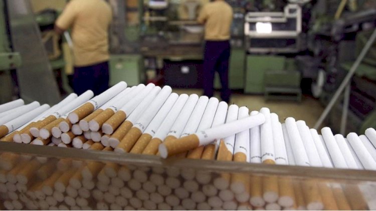 Azərbaycanda siqaretlə bağlı yeni qaydalar: Milli Məclis müzakirəyə başladı 
